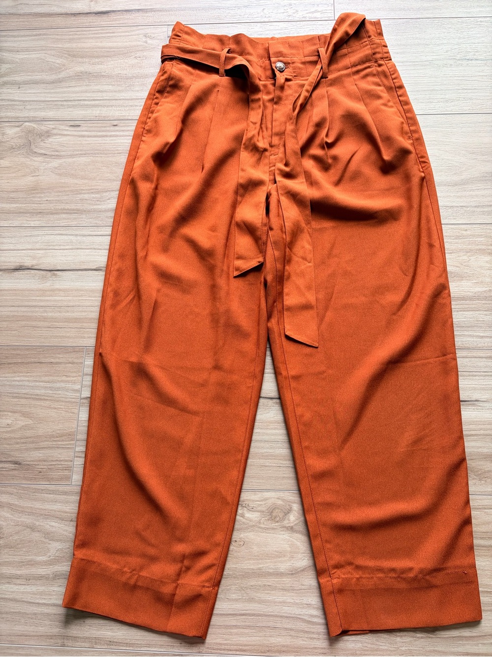 Madewell Drapey Paperbag Pants Rust Orange Tie Waist Wide Leg Size 6